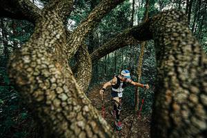 BIB: 
                            <button type="button" onclick="openModal(25393354)" class="btn btn-primary btn-sm float-right btn-popup" data-toggle="modal" data-target=".modal-high-quality">
                        <i class="fas fa-shopping-cart"></i> Add to Cart
                    </button>
                                            <button type="button" onclick="isThisMe(25393354, true)" class="btn btn-success btn-sm float-right btn-popup btn-isme hidden" data-toggle="tooltip" data-placement="bottom" title="นี่คือรูปของคุณใช่ไหม คลิกที่นี่เพื่อเอาเข้าอัลบั้ม">
                        <i class="fas fa-plus"></i> Add to album
                    </button>
                    <button type="button" onclick="isThisMe(25393354, false)" class="btn btn-warning btn-sm float-right btn-popup btn-isnotme hidden">
                        <i class="fas fa-ban"></i> Remove from album
                    </button>